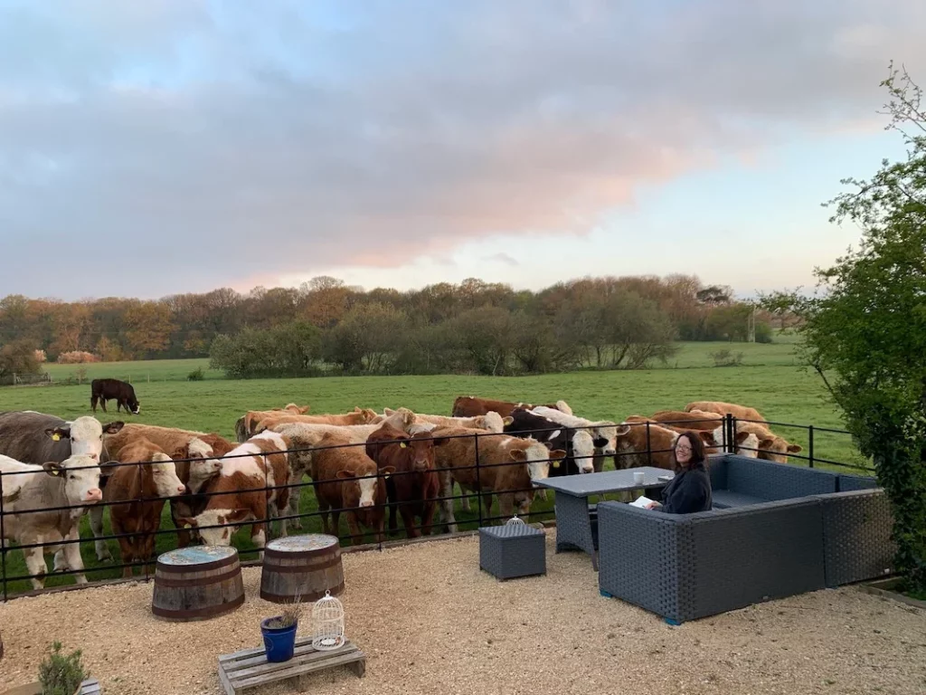 Unseen content of img_7729.webp