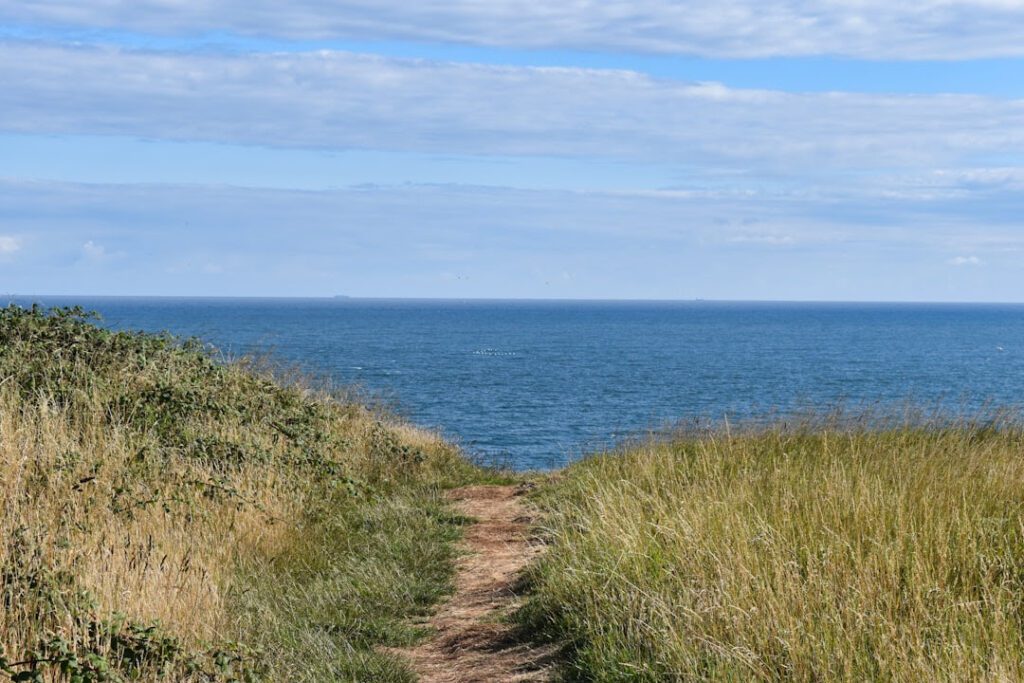 nature path near water